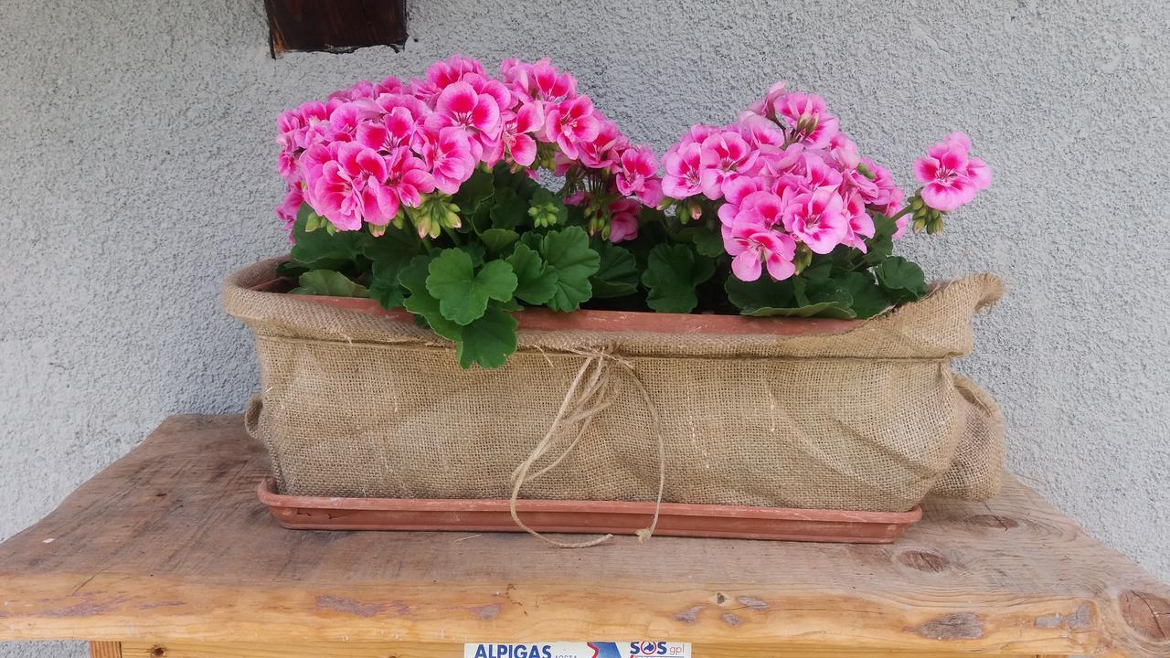 Maison Des Abeilles Vda Gressan N 0028 Екстериор снимка